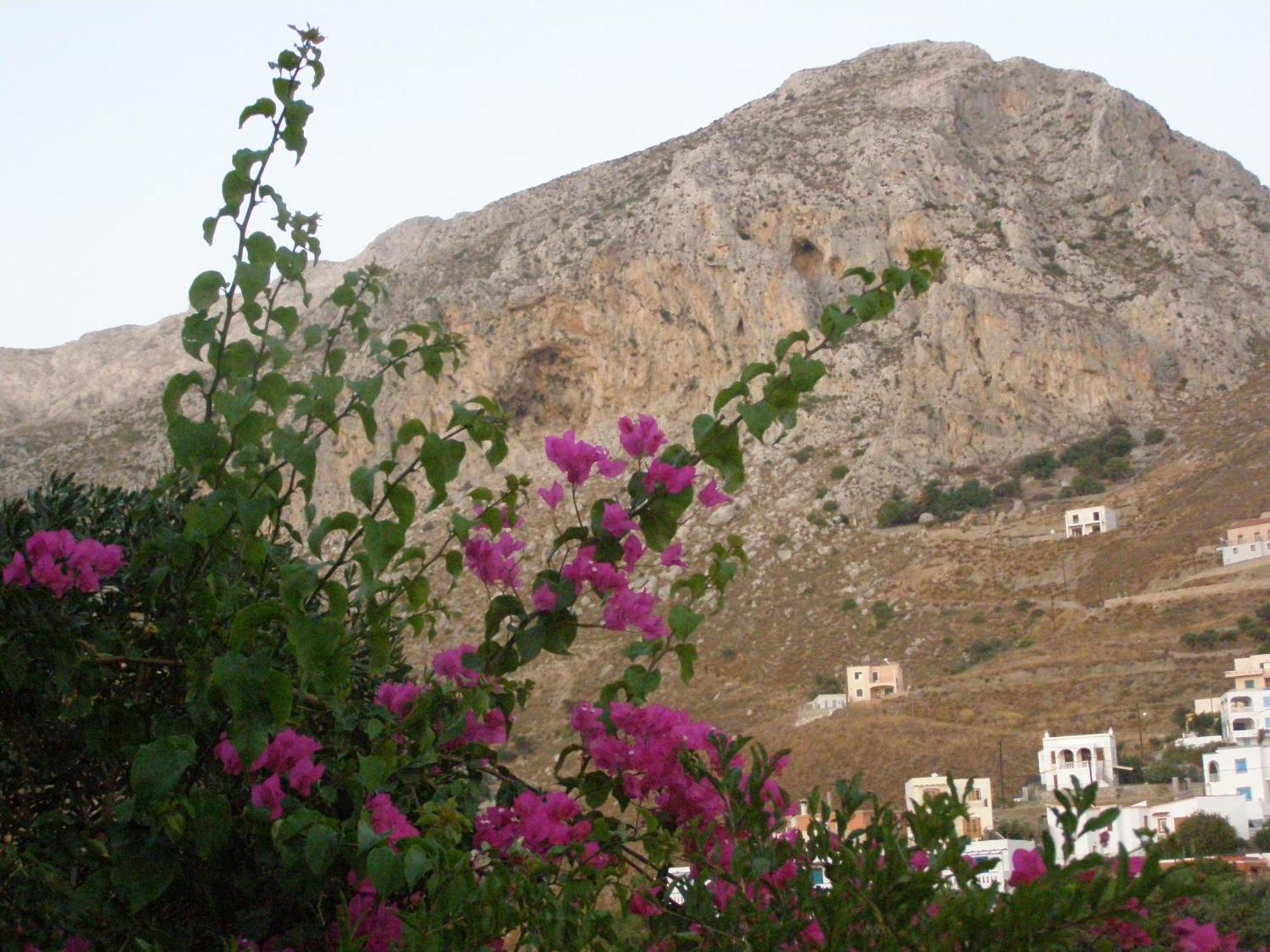Studios Aeolos Kalymnos Myrties Екстериор снимка